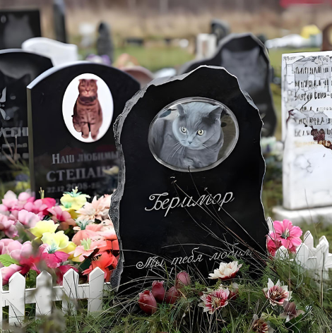 Why Should We Consider a Pet Memorial?
